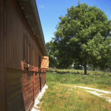 barns en bois à l'écurie Equiterra