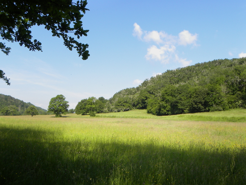 prairies au domaine de la Ribière