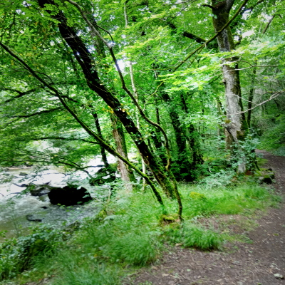 randonnée à cheval ou à pied à Chambon sur Voueize